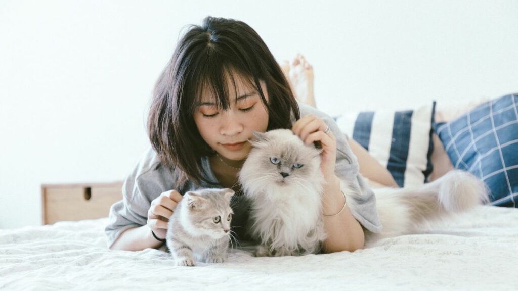 a woman with a cat and a kitten