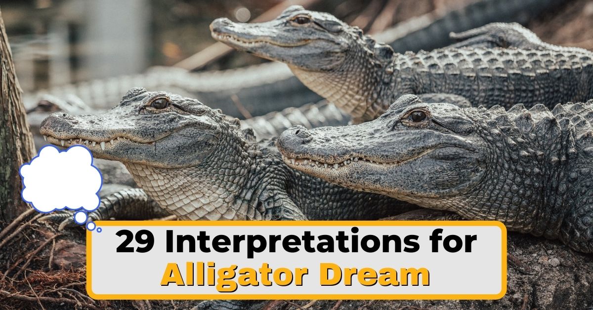 Dream Interpretations 8 